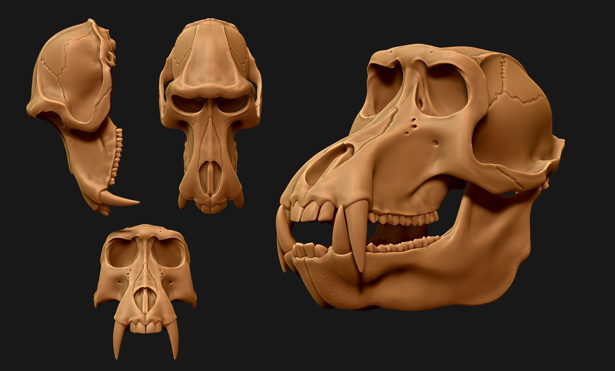 Baboon Skull CNC and 3D print model_14