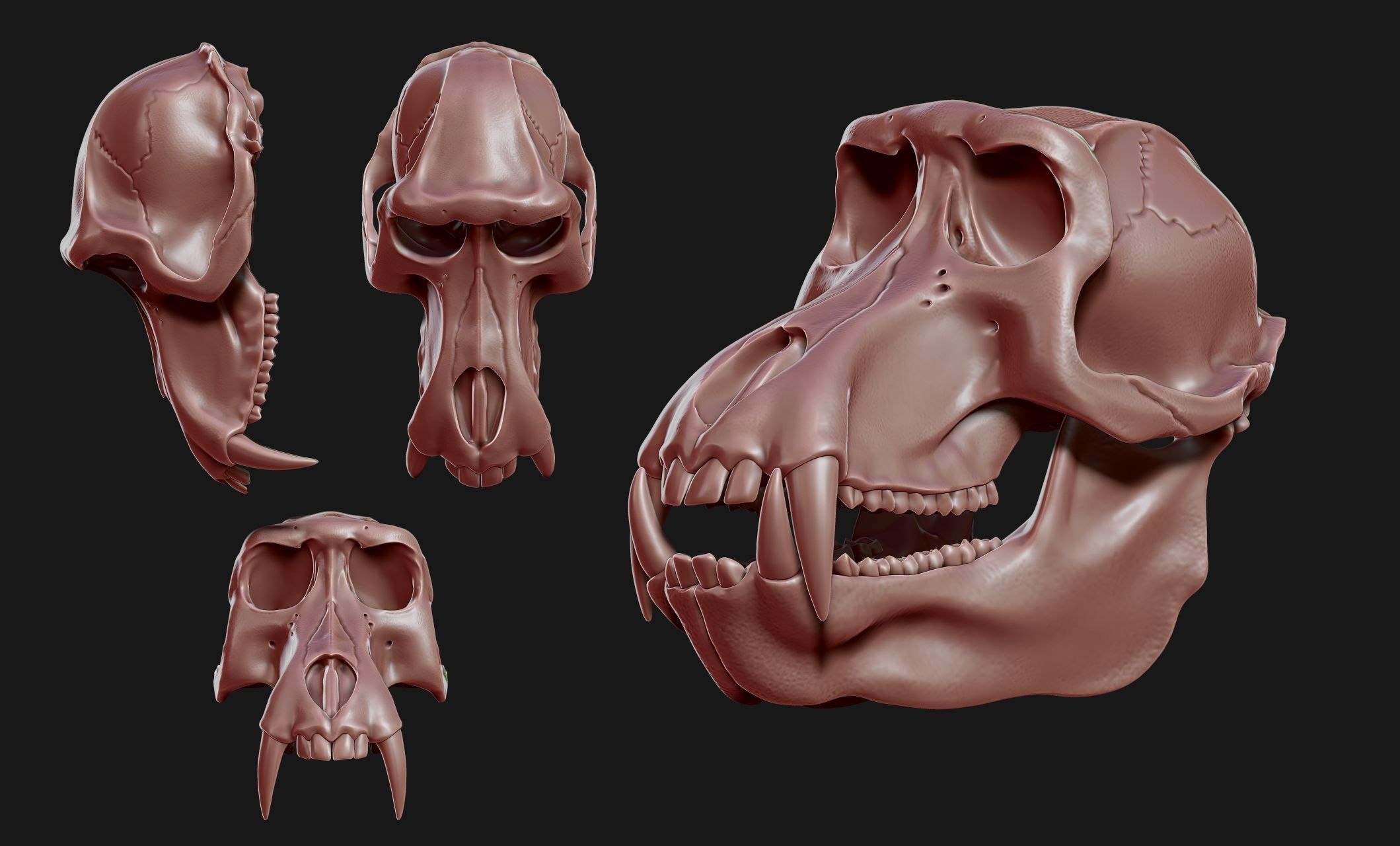 Baboon Skull CNC and 3D print model_3