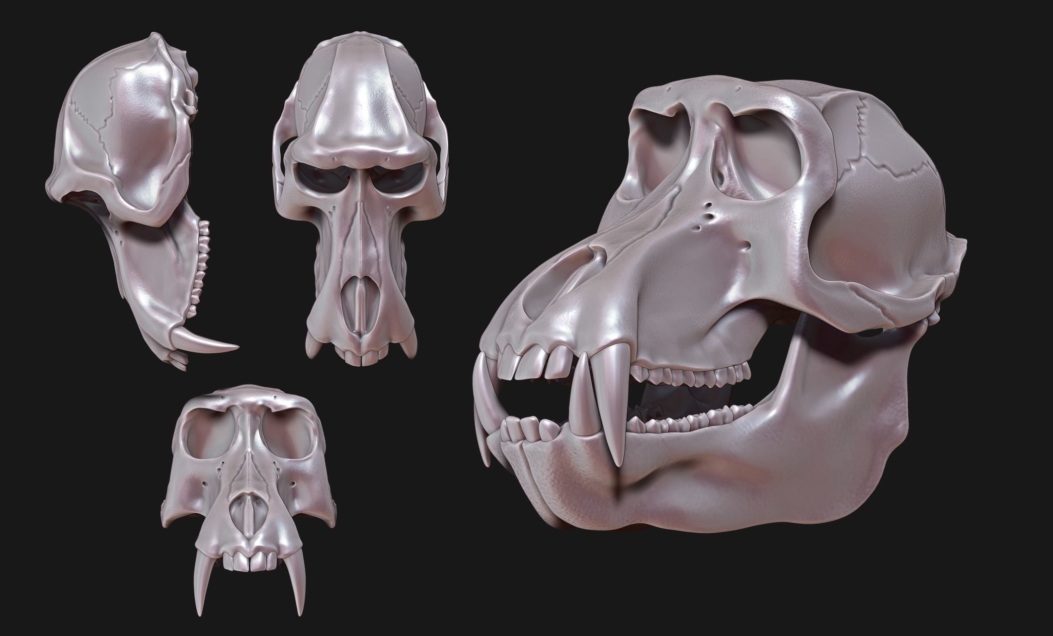 Baboon Skull CNC and 3D print model_11