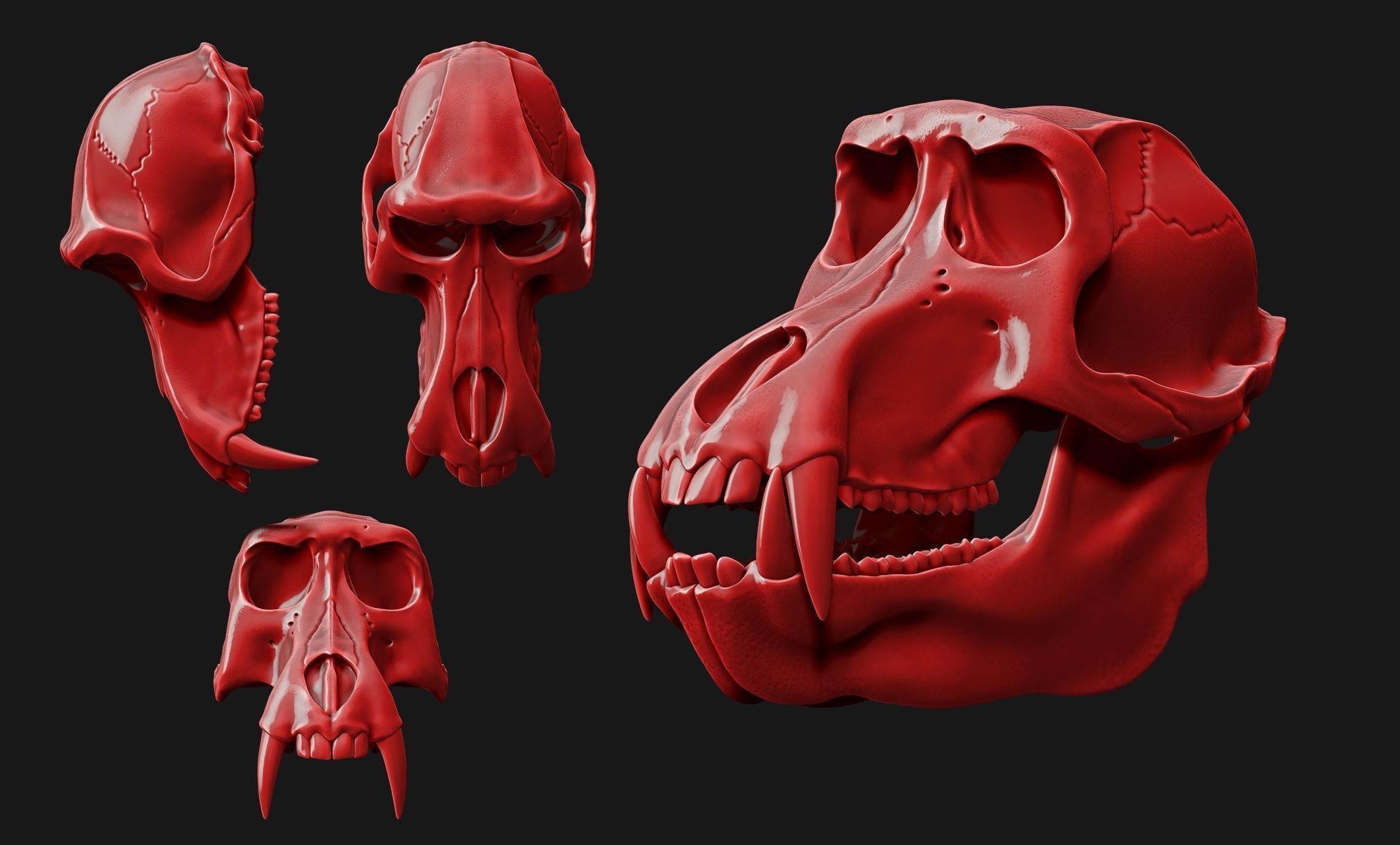 Baboon Skull CNC and 3D print model_4