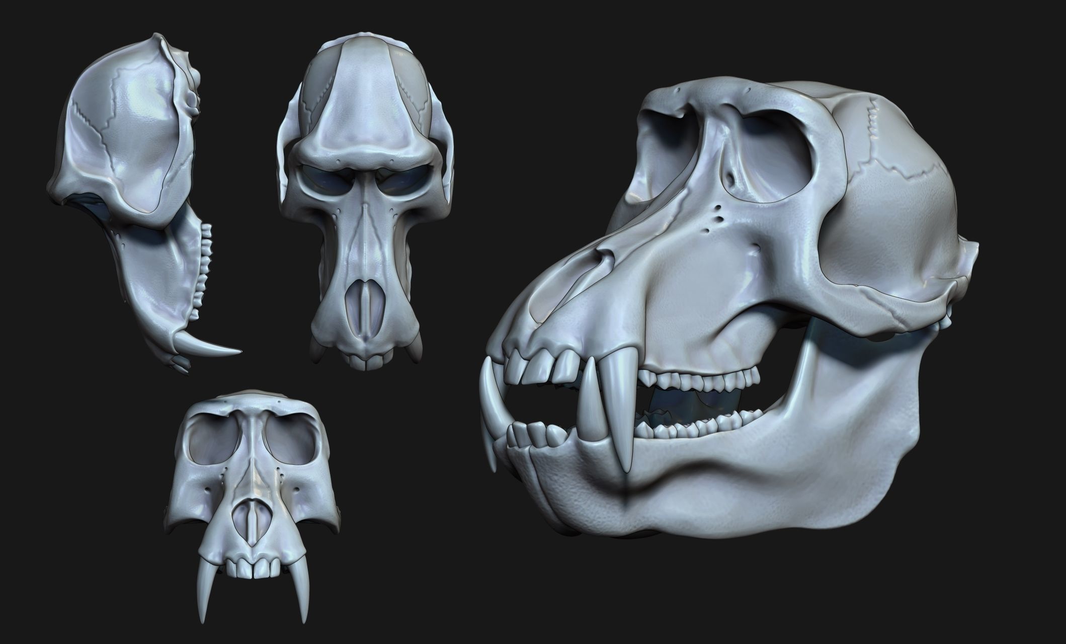 Baboon Skull CNC and 3D print model_9