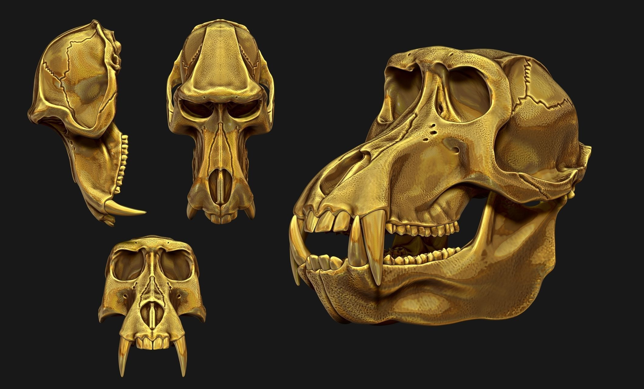 Baboon Skull CNC and 3D print model_8