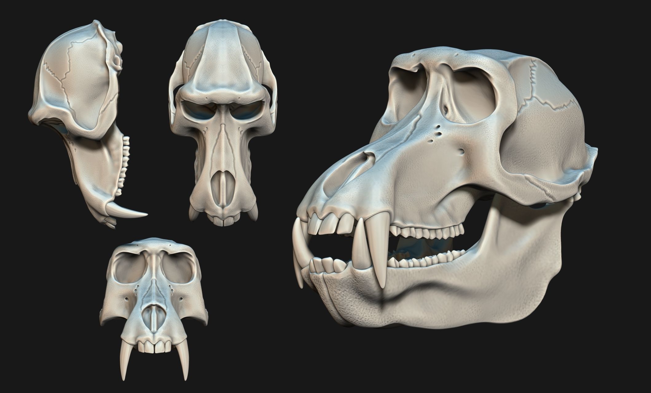 Baboon Skull CNC and 3D print model_21