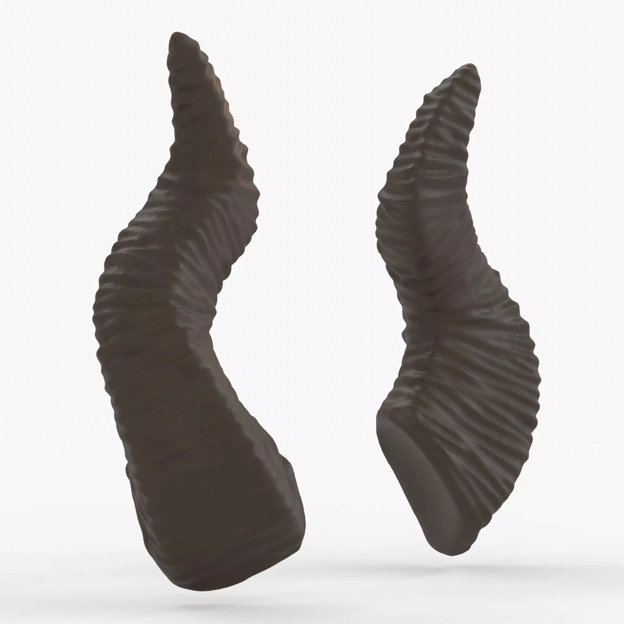 Medium Wiggle Horns - Wanda 3D print model