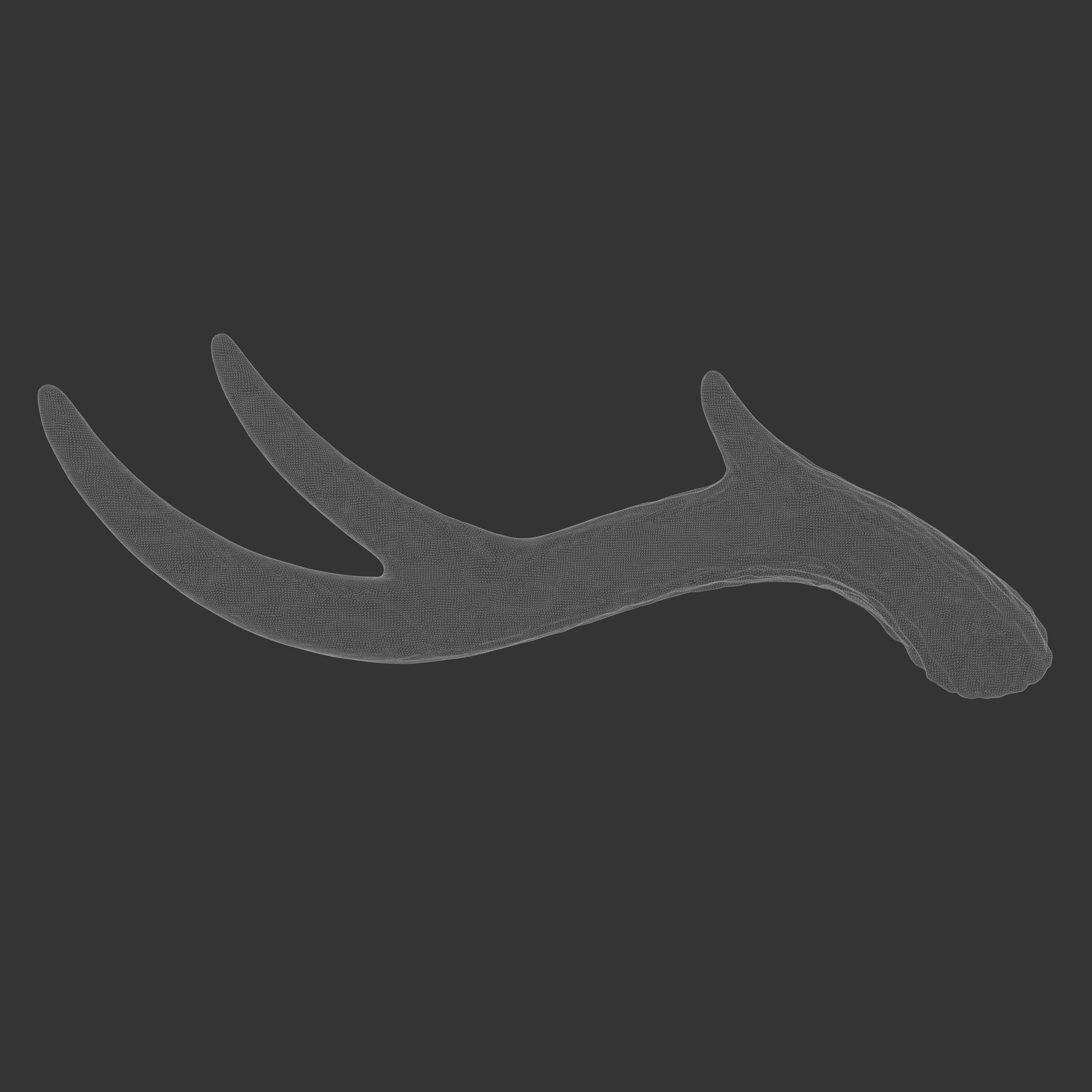 Large Wavy Antlers - Kiki 3D print model_7