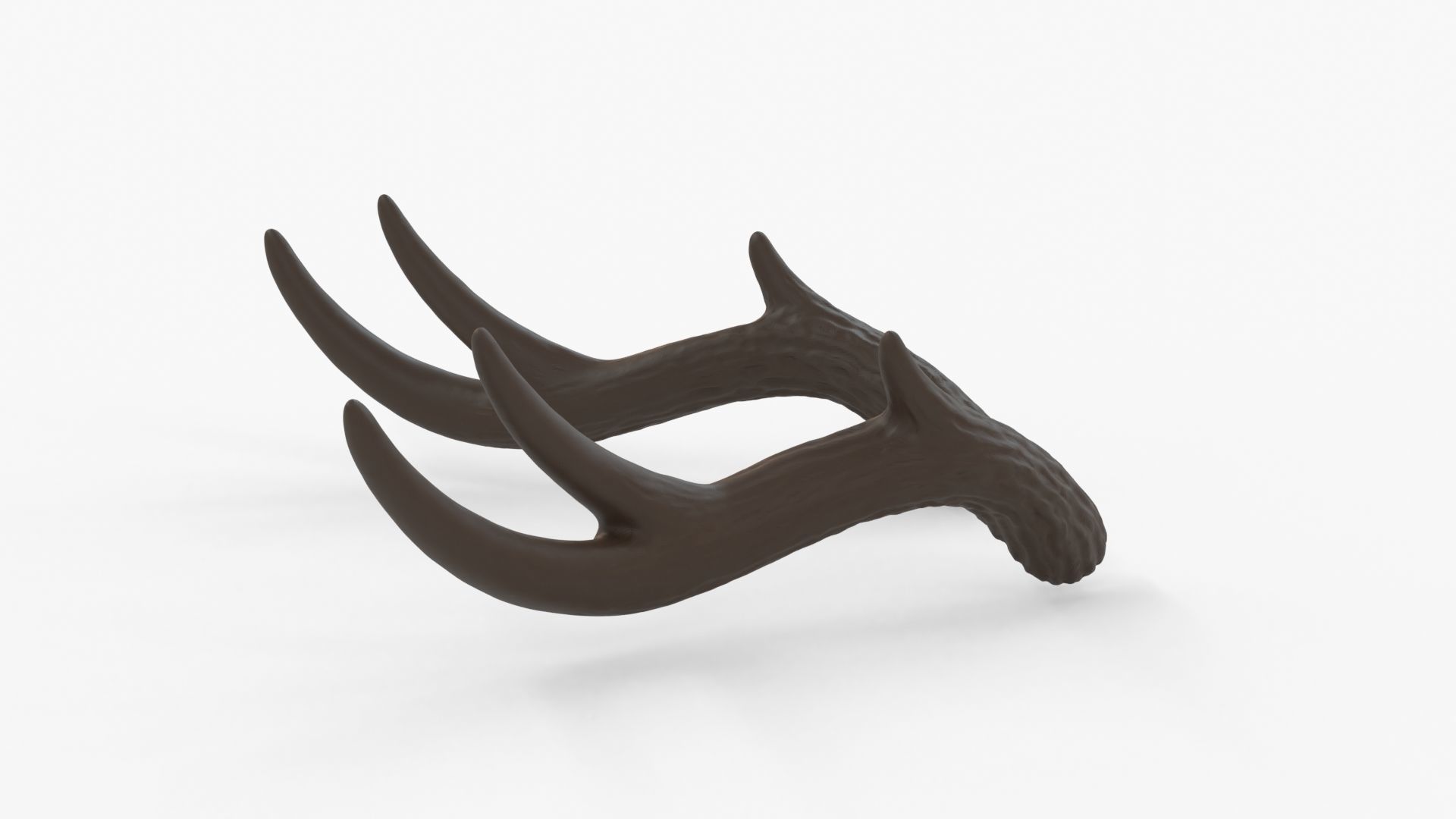 Large Wavy Antlers - Kiki 3D print model_6