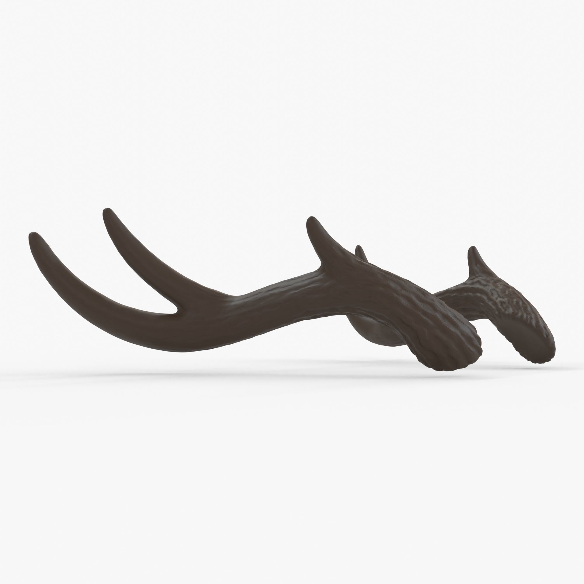 Large Wavy Antlers - Kiki 3D print model_2