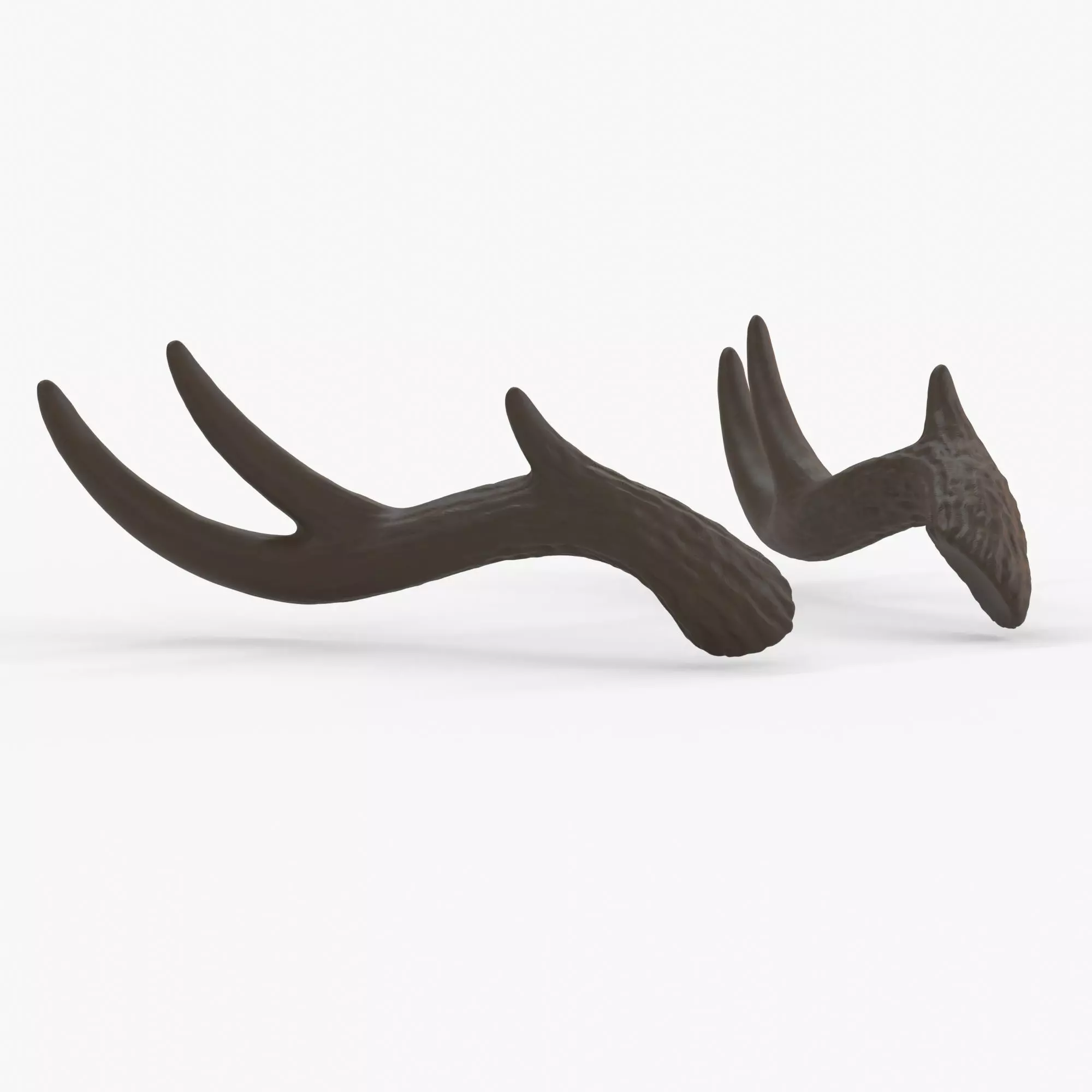 Large Wavy Antlers - Kiki 3D print model_0