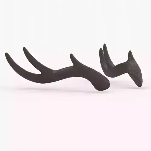 Large Wavy Antlers - Kiki
