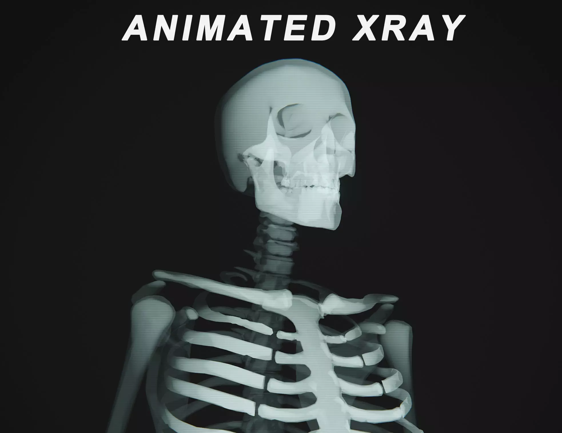 Human Xray Animated Low-poly 3D model_0