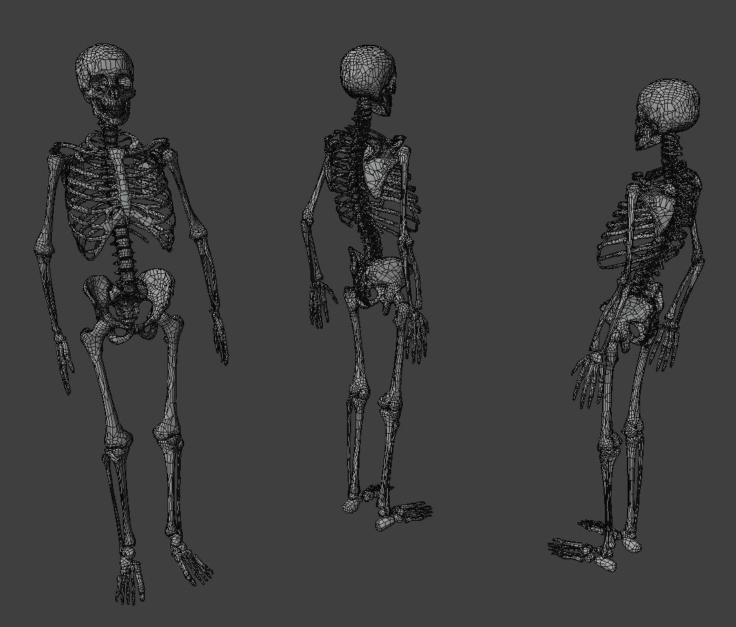 Human Xray Animated Low-poly 3D model_12