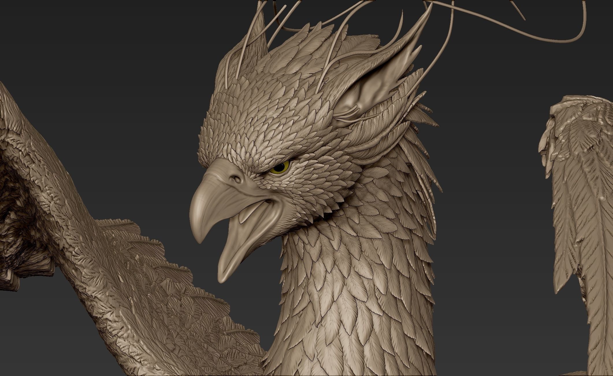 Grifon dragon with wings 3D model_12