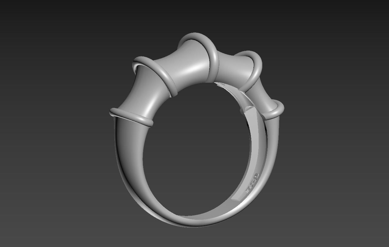 Ring R 03 3D print model_8
