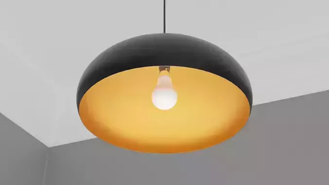 Pendant Ceiling Light P685B