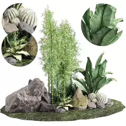 Stone and Bush Pack 20