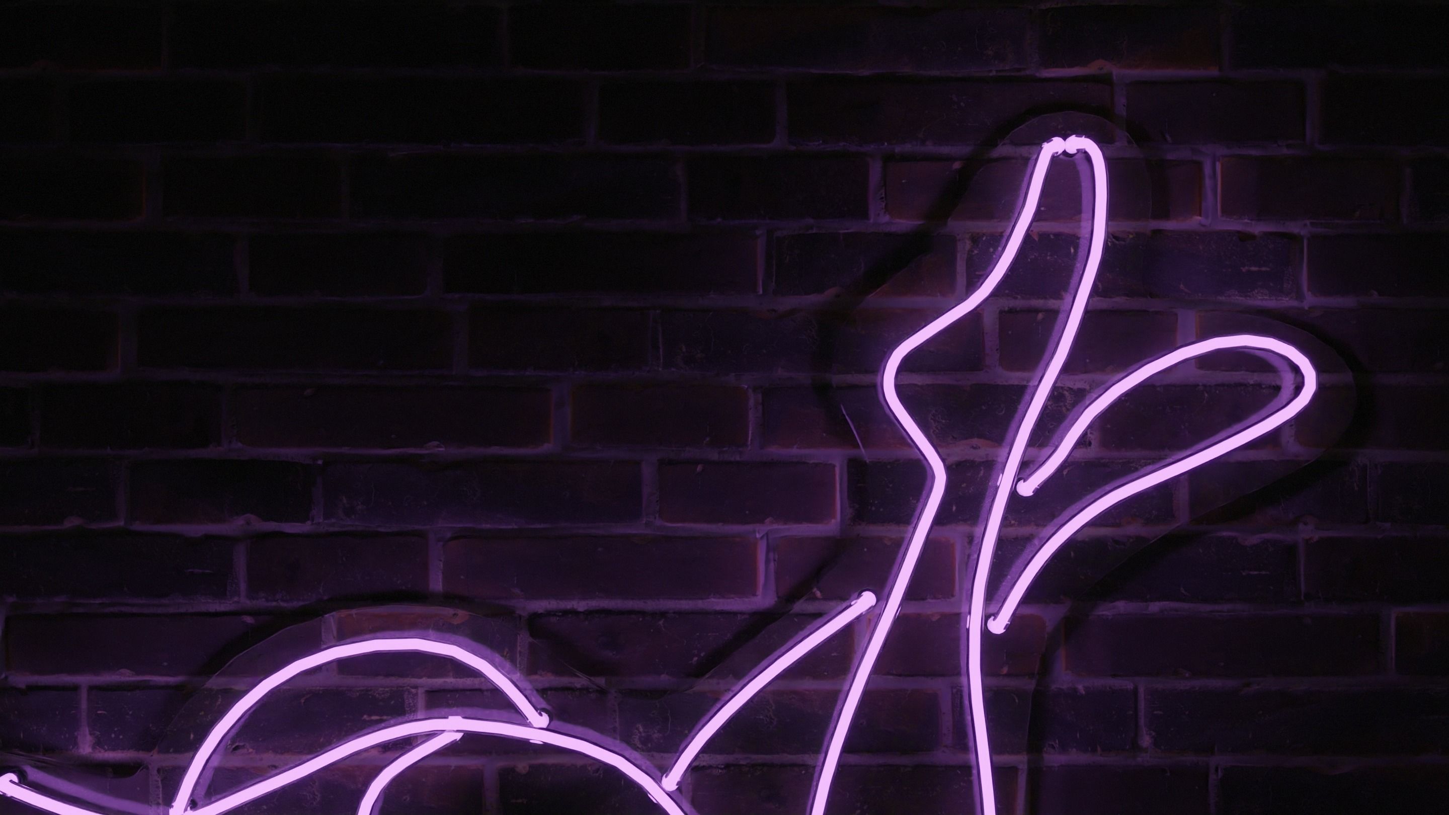 Neon 3D Model 12 - Body Shape 2 3D model_2