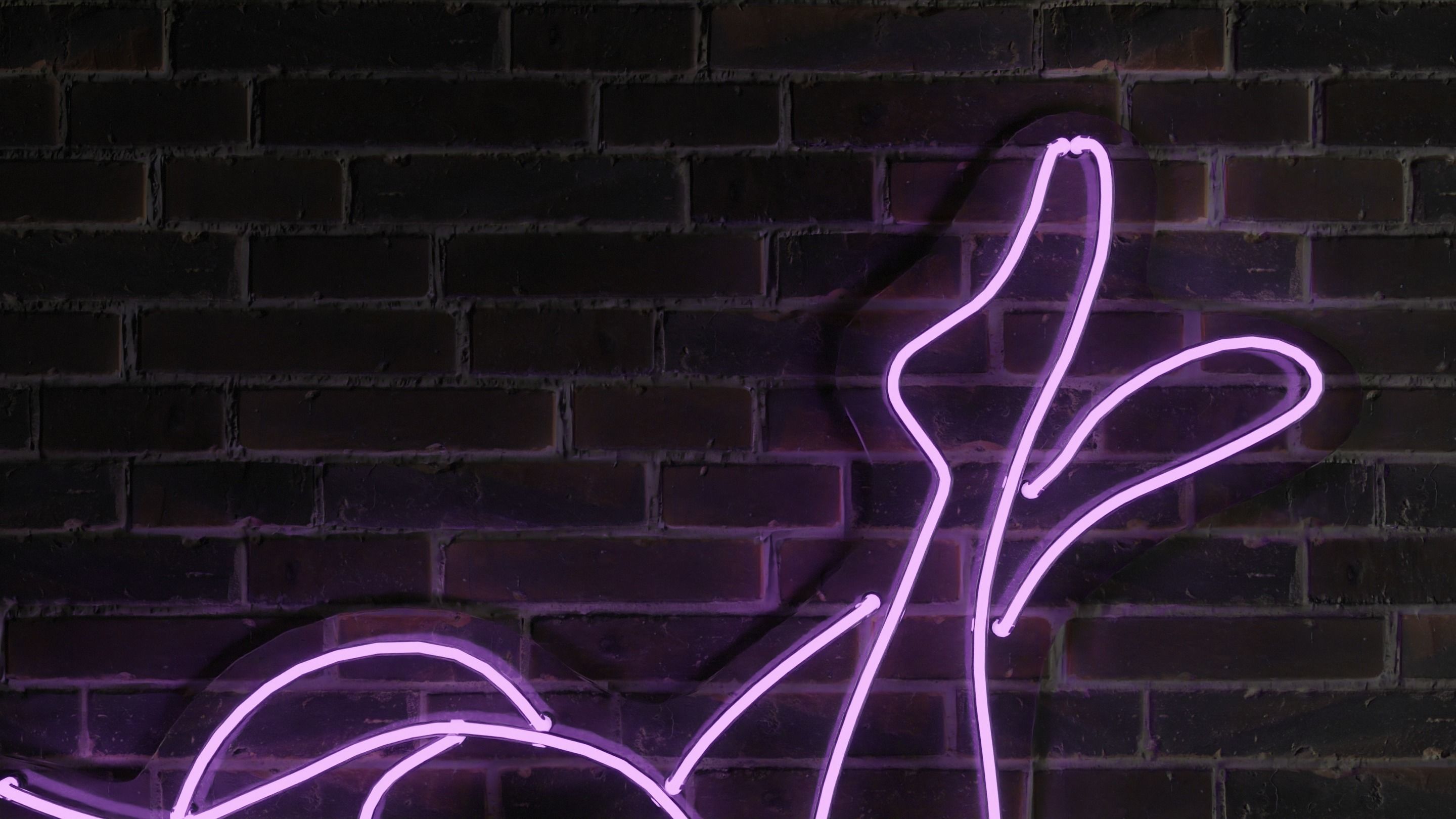 Neon 3D Model 12 - Body Shape 2 3D model_6