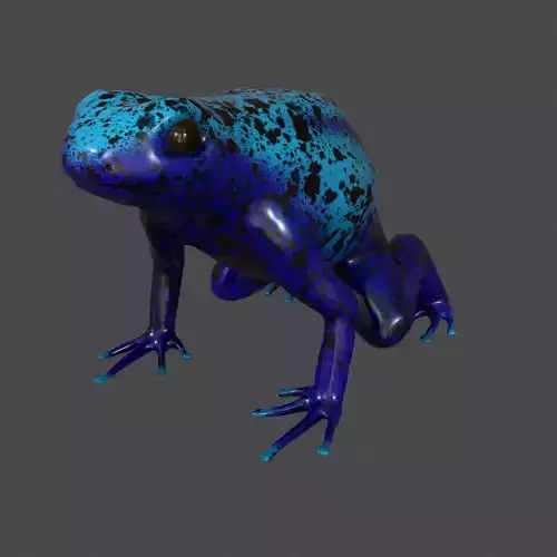 blue frog Dendrobates azureus pbr Low-poly 3D model