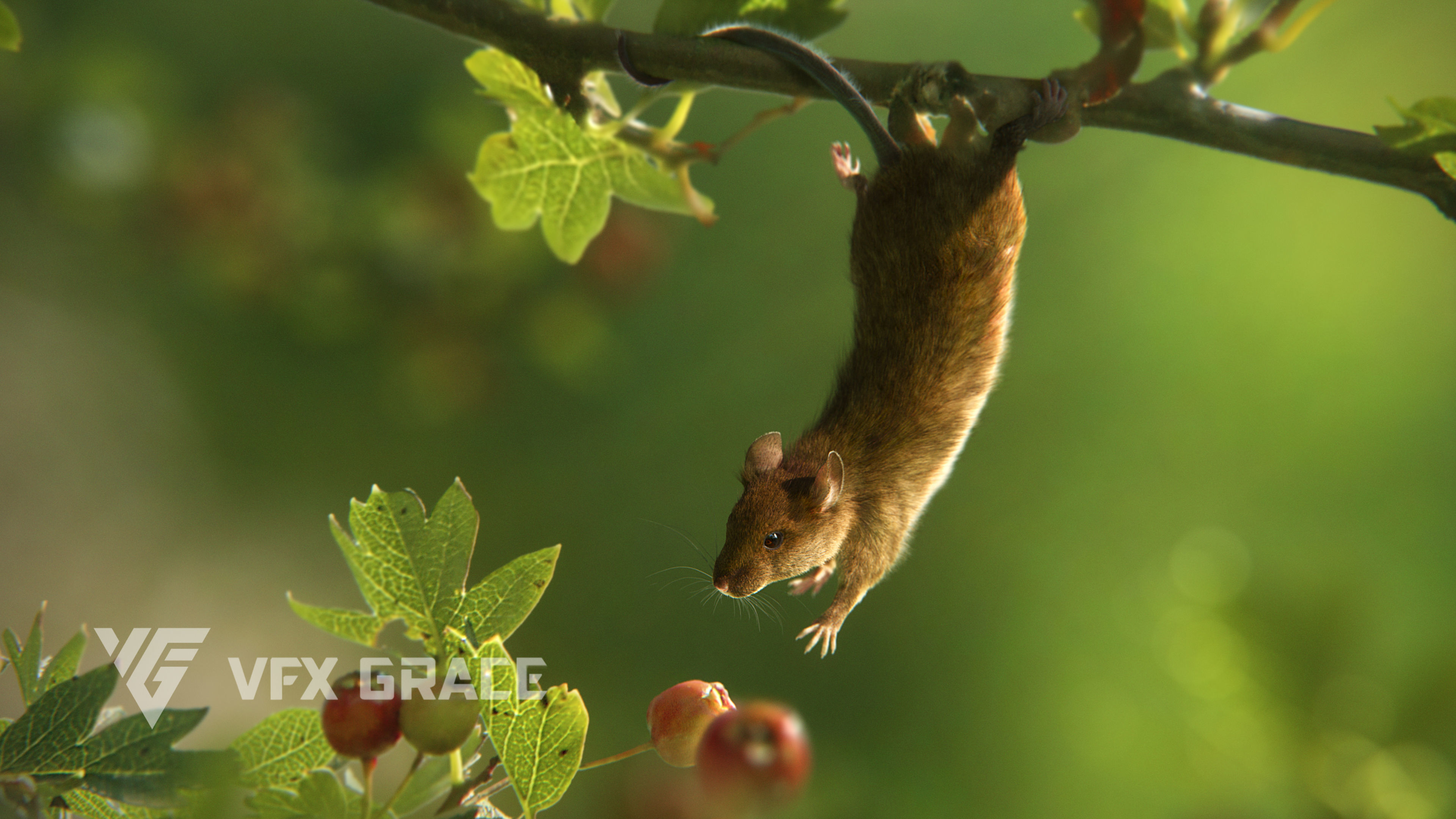 Rat Mouse Animated  VFX Grace 3D model_8