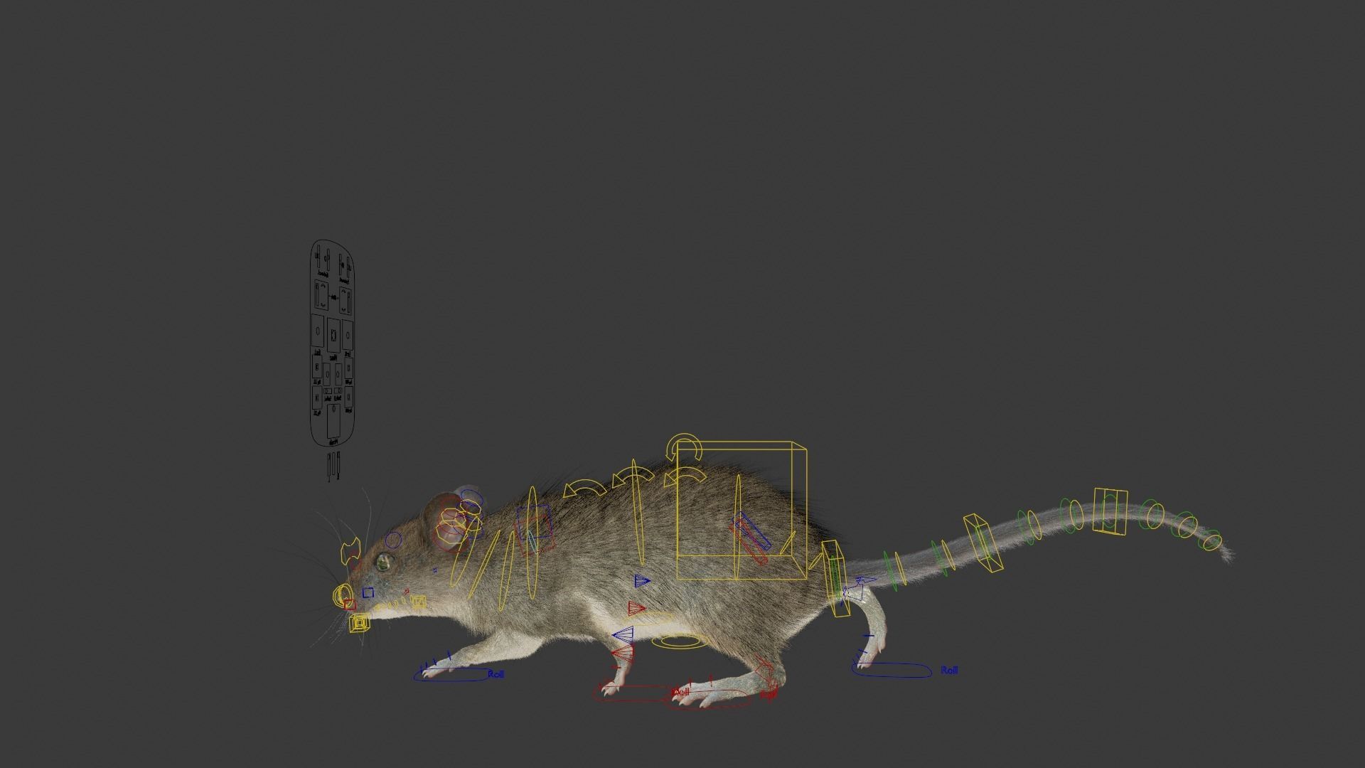 Rat Mouse Animated  VFX Grace 3D model_18