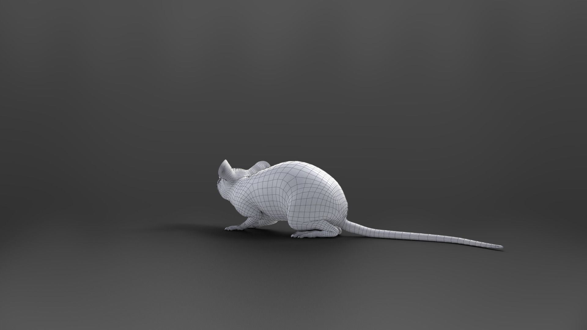 Rat Mouse Animated  VFX Grace 3D model_28