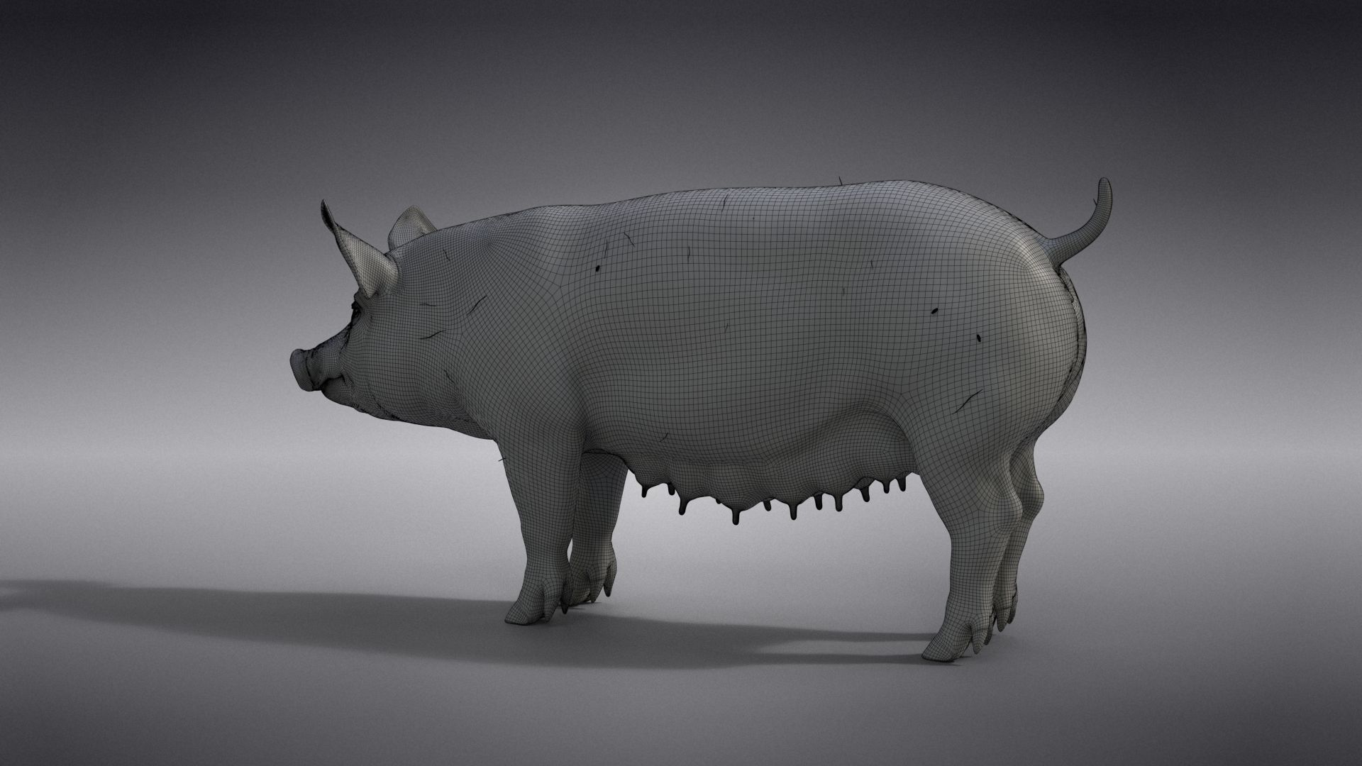Female Pig Rigged VFX Grace 3D model_19