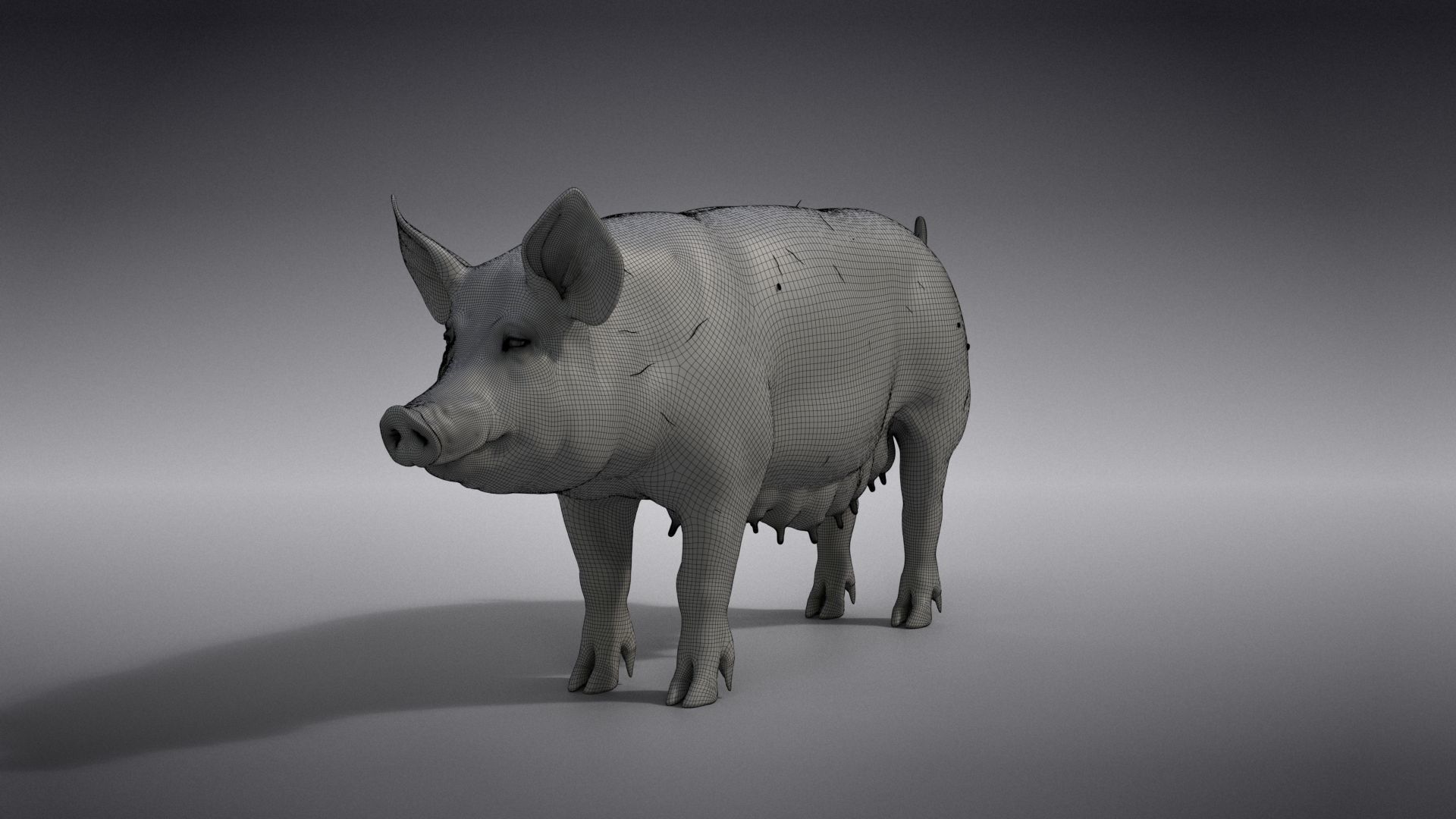 Female Pig Rigged VFX Grace 3D model_20