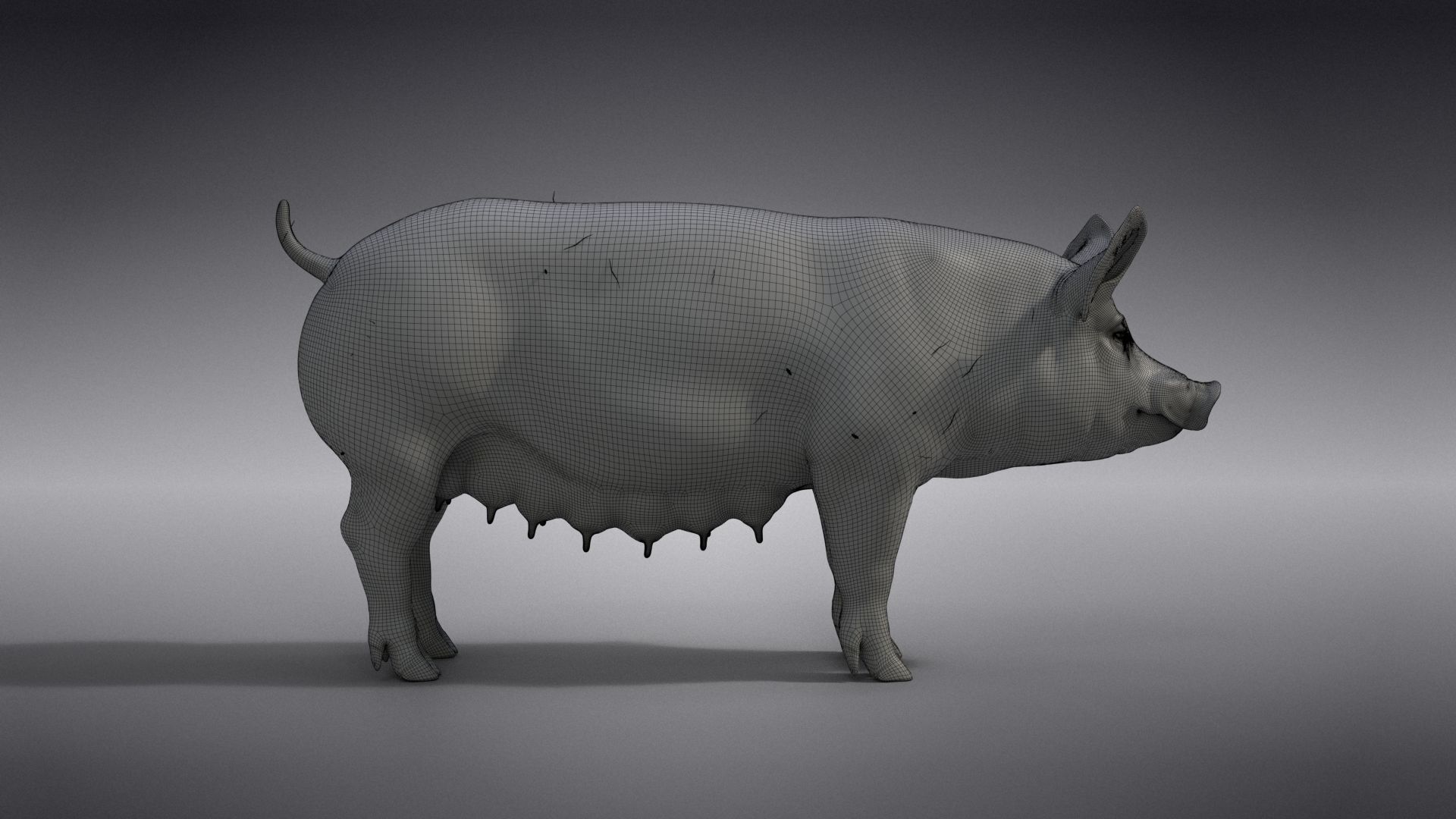 Female Pig Rigged VFX Grace 3D model_18