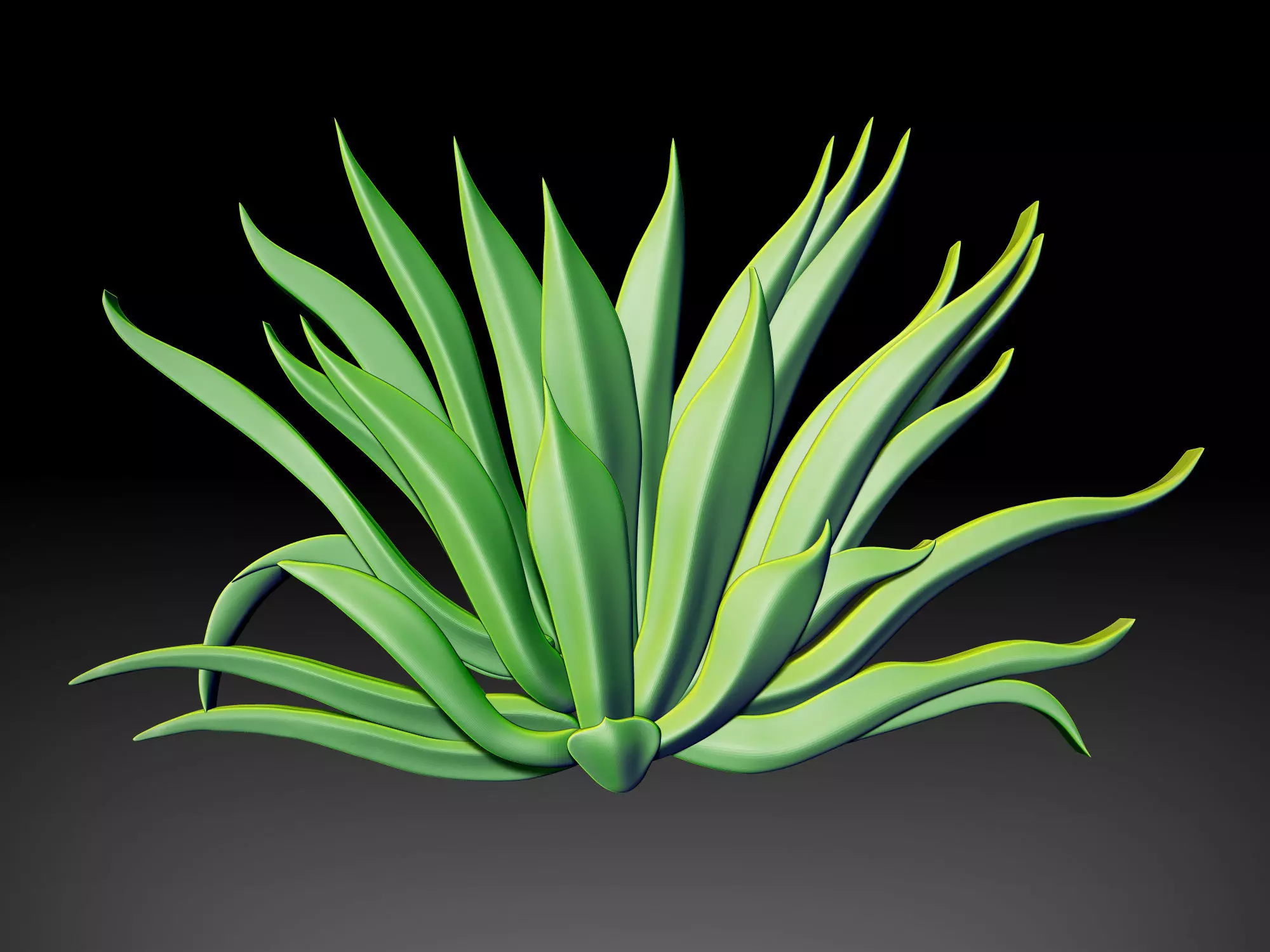 Agave Plant Relief 3D print model