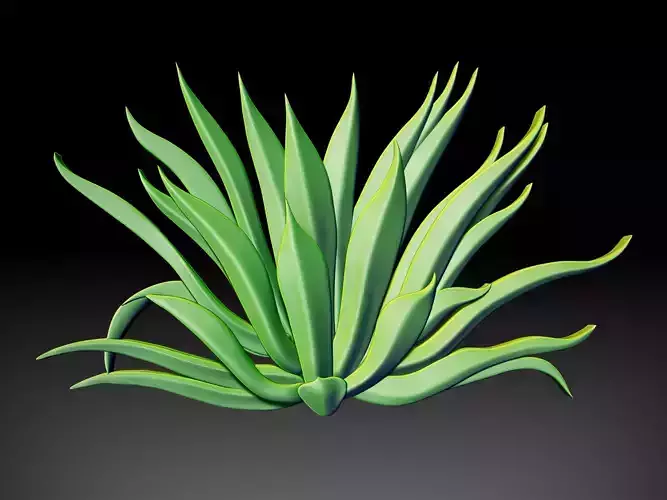 Agave Plant Relief 3D print model