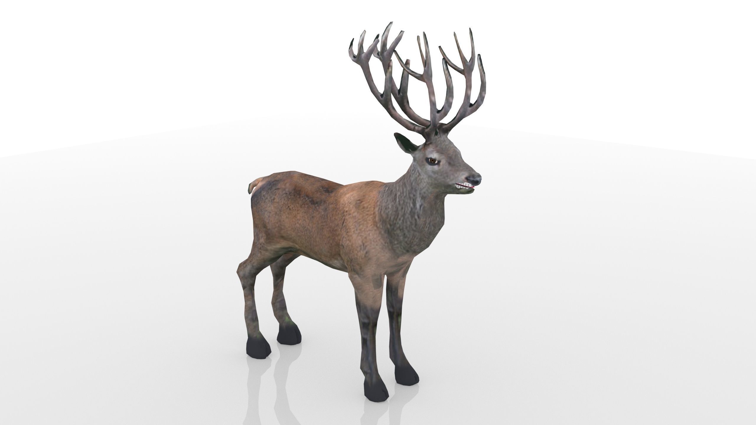 Red Deer Stag Low-poly 3D model_2