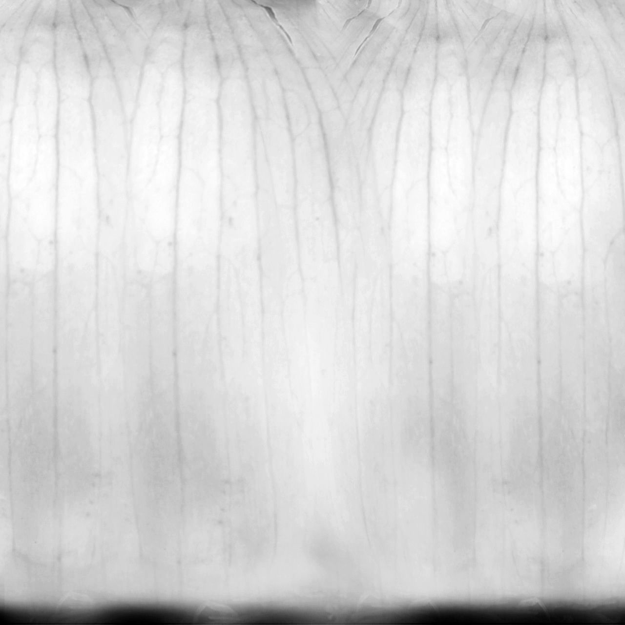 Family One-Floor House Visualization in 3Dmax by Nazar Decor 3D model_17