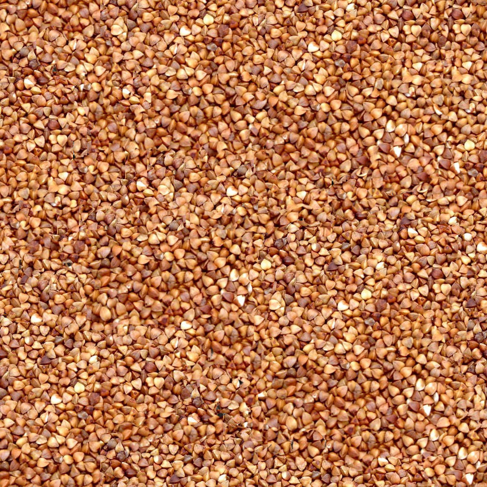 Family One-Floor House Visualization in 3Dmax by Nazar Decor 3D model_29