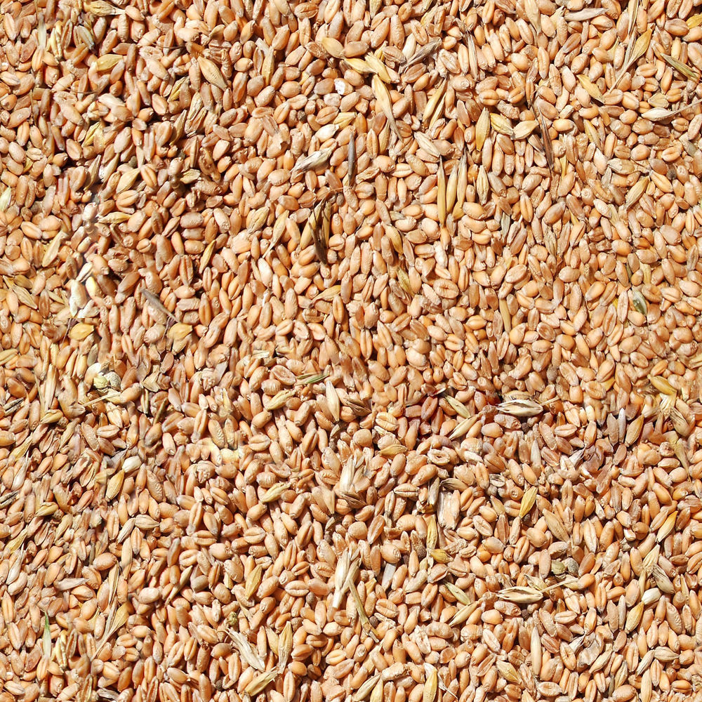 Family One-Floor House Visualization in 3Dmax by Nazar Decor 3D model_25