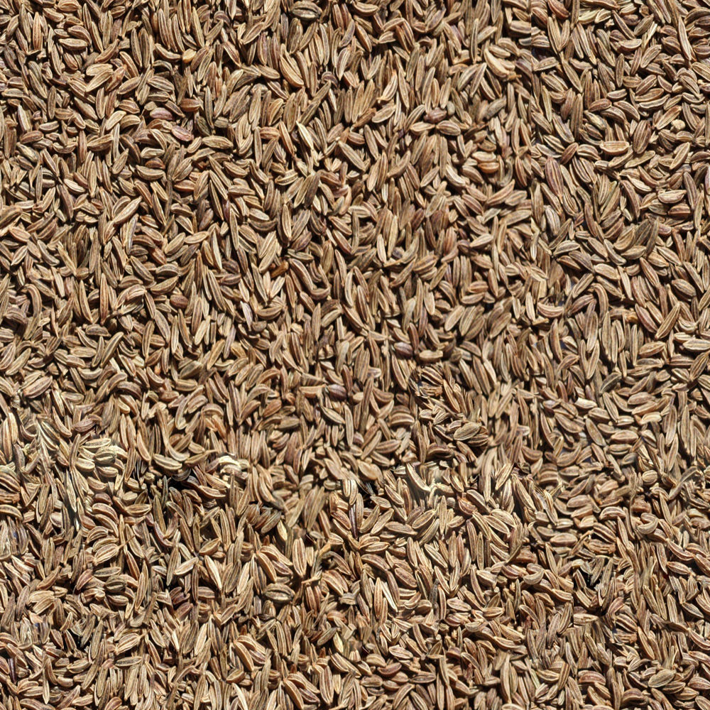 Family One-Floor House Visualization in 3Dmax by Nazar Decor 3D model_33