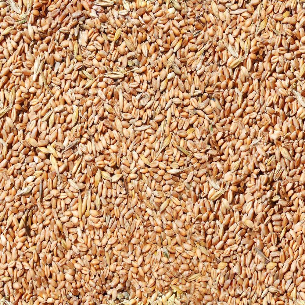 Family One-Floor House Visualization in 3Dmax by Nazar Decor 3D model_30