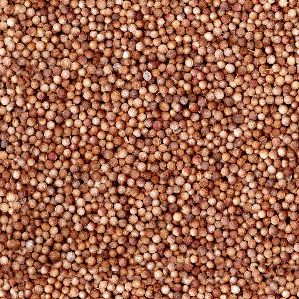 Family One-Floor House Visualization in 3Dmax by Nazar Decor 3D model_37