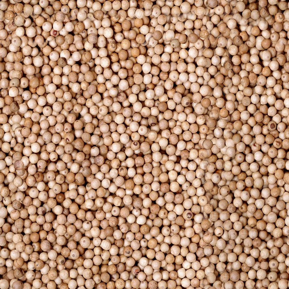 Family One-Floor House Visualization in 3Dmax by Nazar Decor 3D model_31