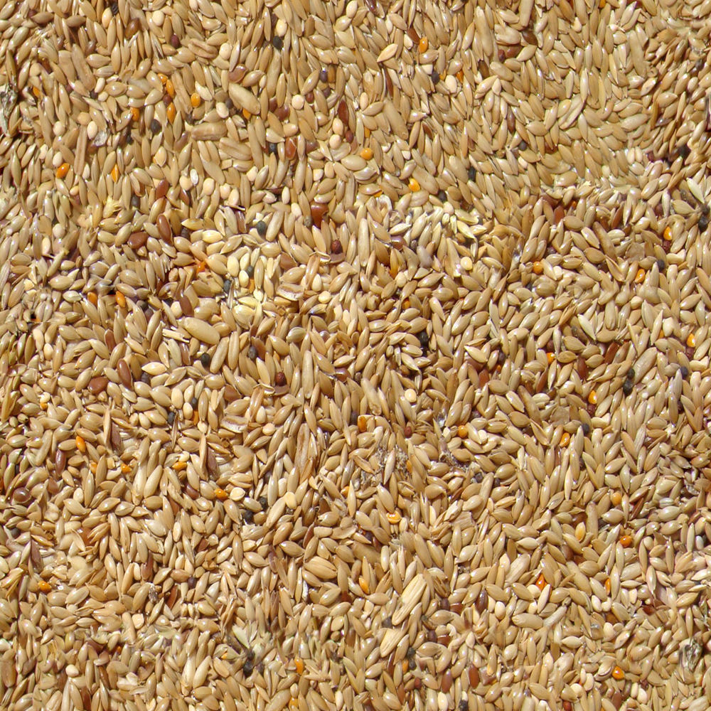 Family One-Floor House Visualization in 3Dmax by Nazar Decor 3D model_24