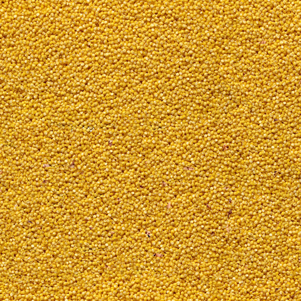 Family One-Floor House Visualization in 3Dmax by Nazar Decor 3D model_28