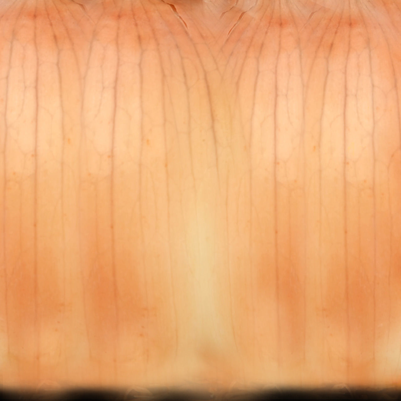 Family One-Floor House Visualization in 3Dmax by Nazar Decor 3D model_18