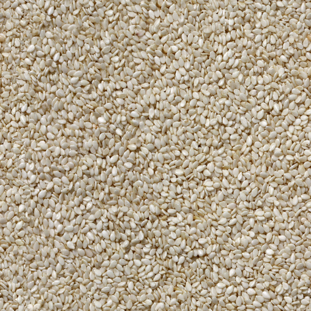 Family One-Floor House Visualization in 3Dmax by Nazar Decor 3D model_32