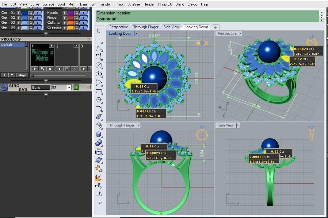 Ring R 11 3D print model_2