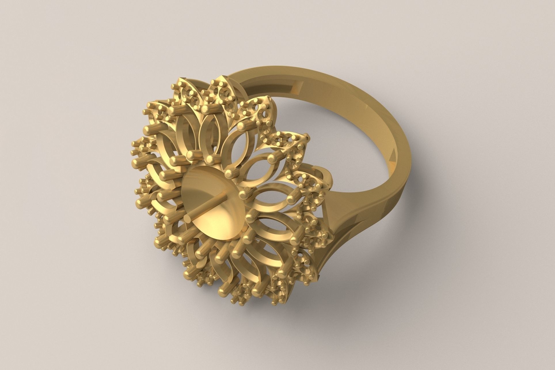 Ring R 11 3D print model_1