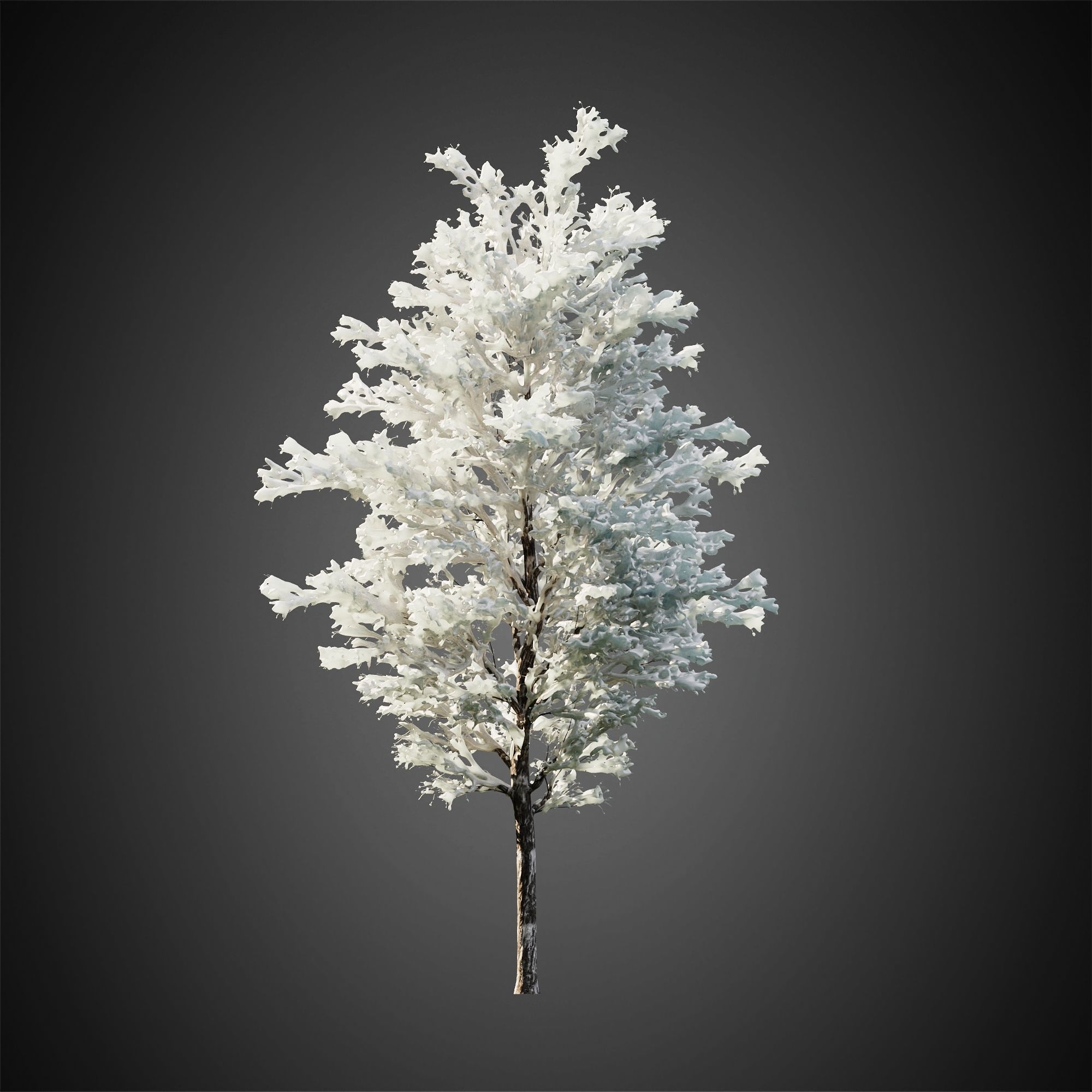 HeliosVegetation vol11 Winter trees  3D model_7