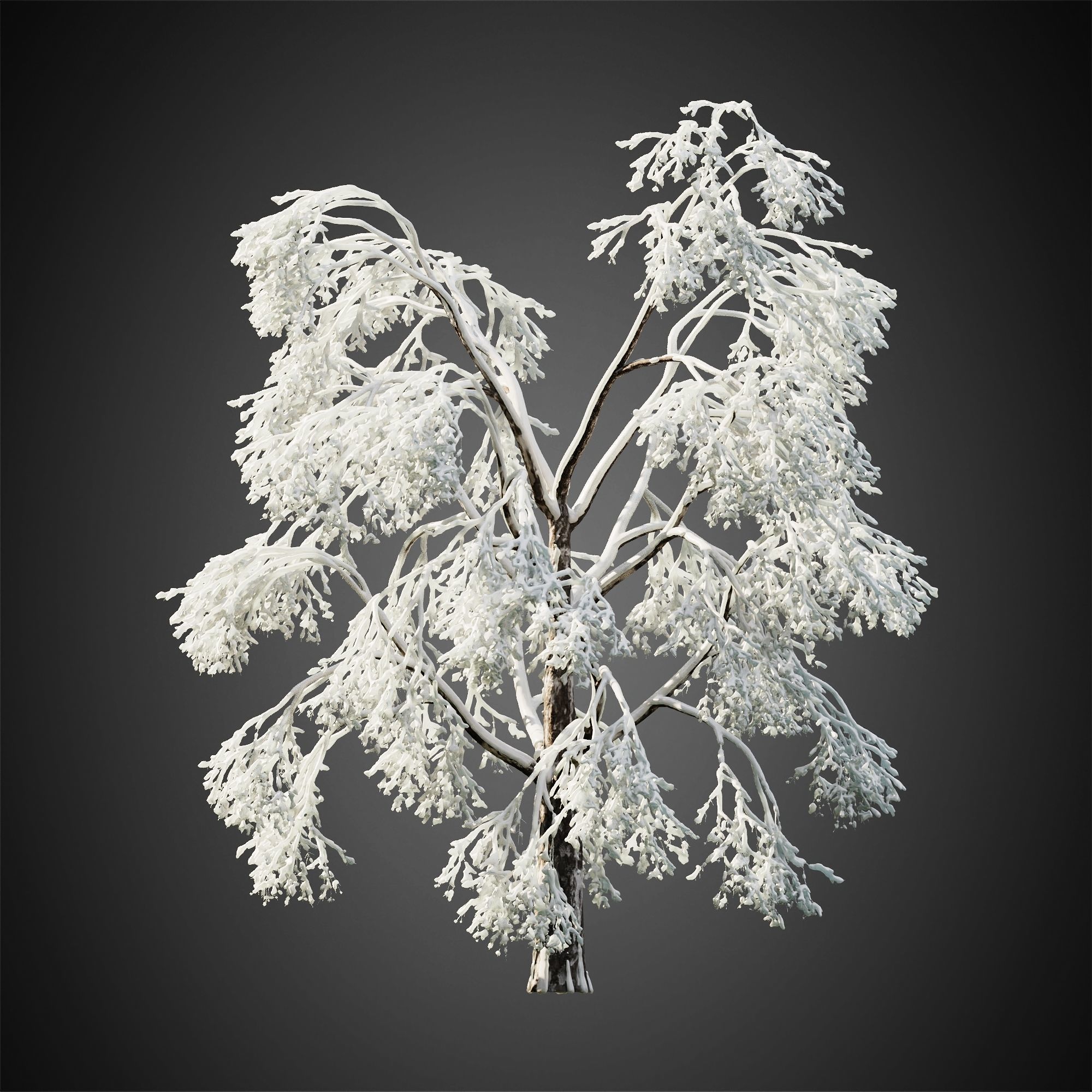 HeliosVegetation vol11 Winter trees  3D model_10