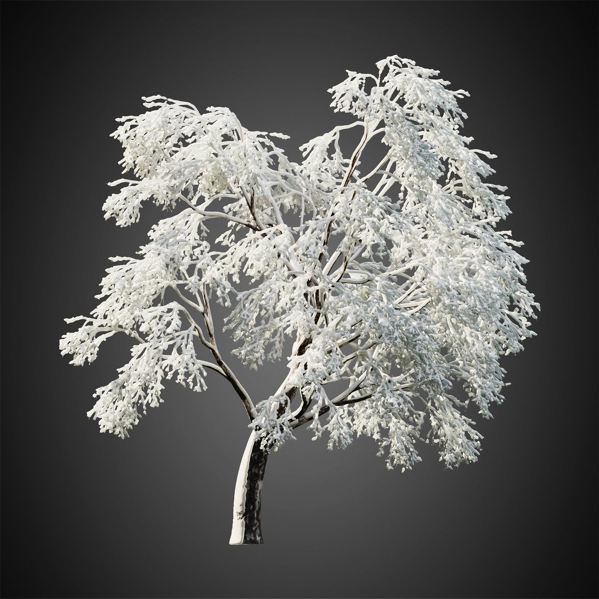HeliosVegetation vol11 Winter trees  3D model_2