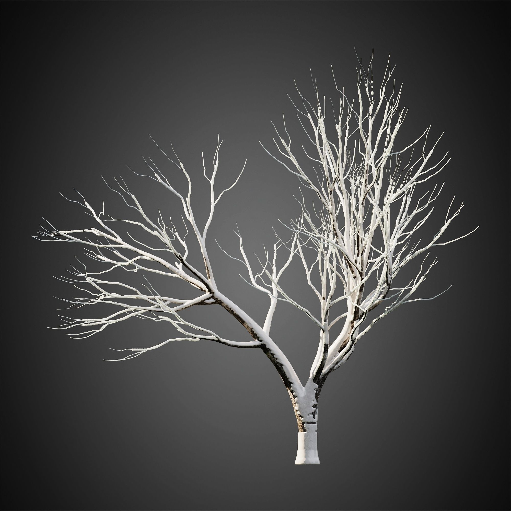 HeliosVegetation vol11 Winter trees  3D model_6