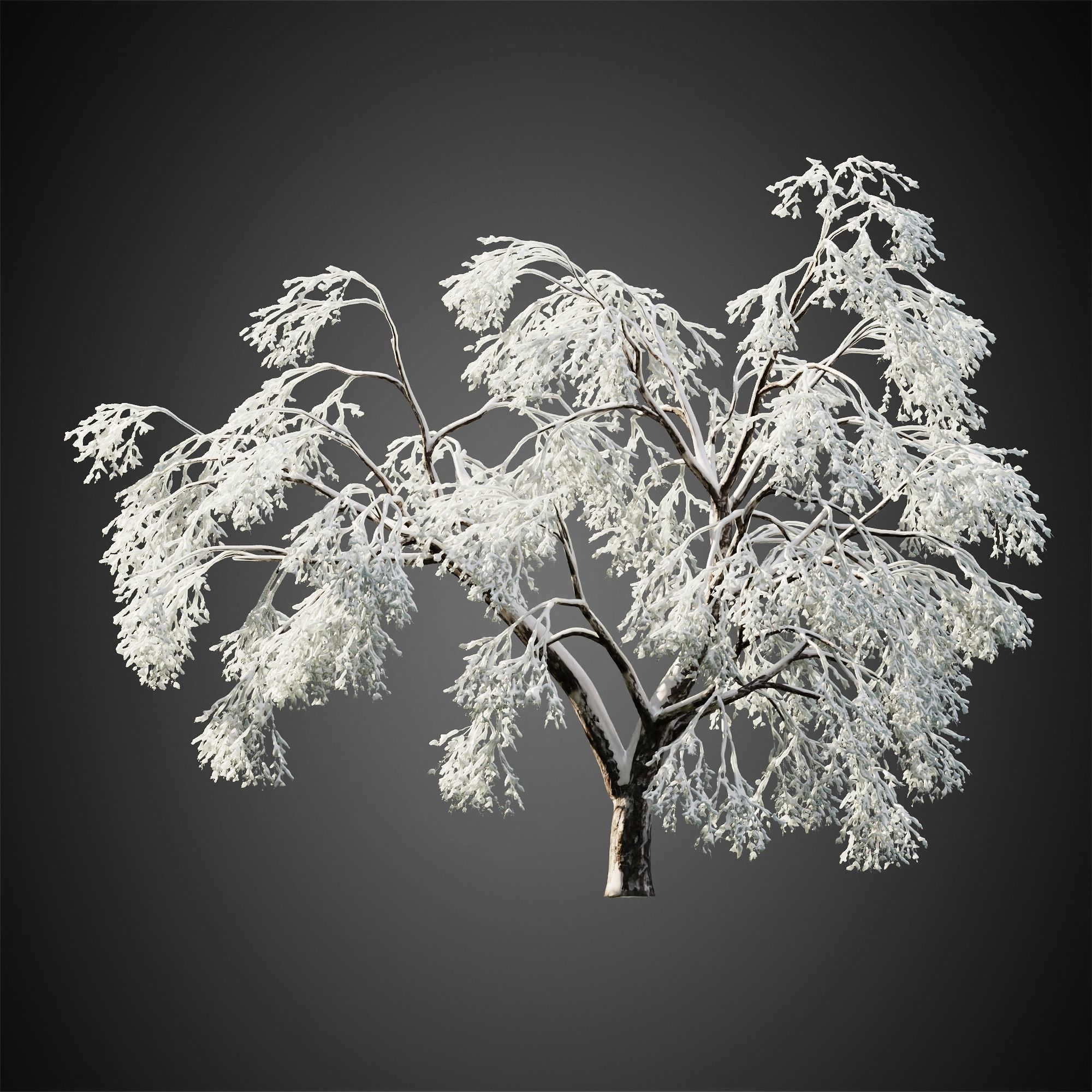 HeliosVegetation vol11 Winter trees  3D model_8