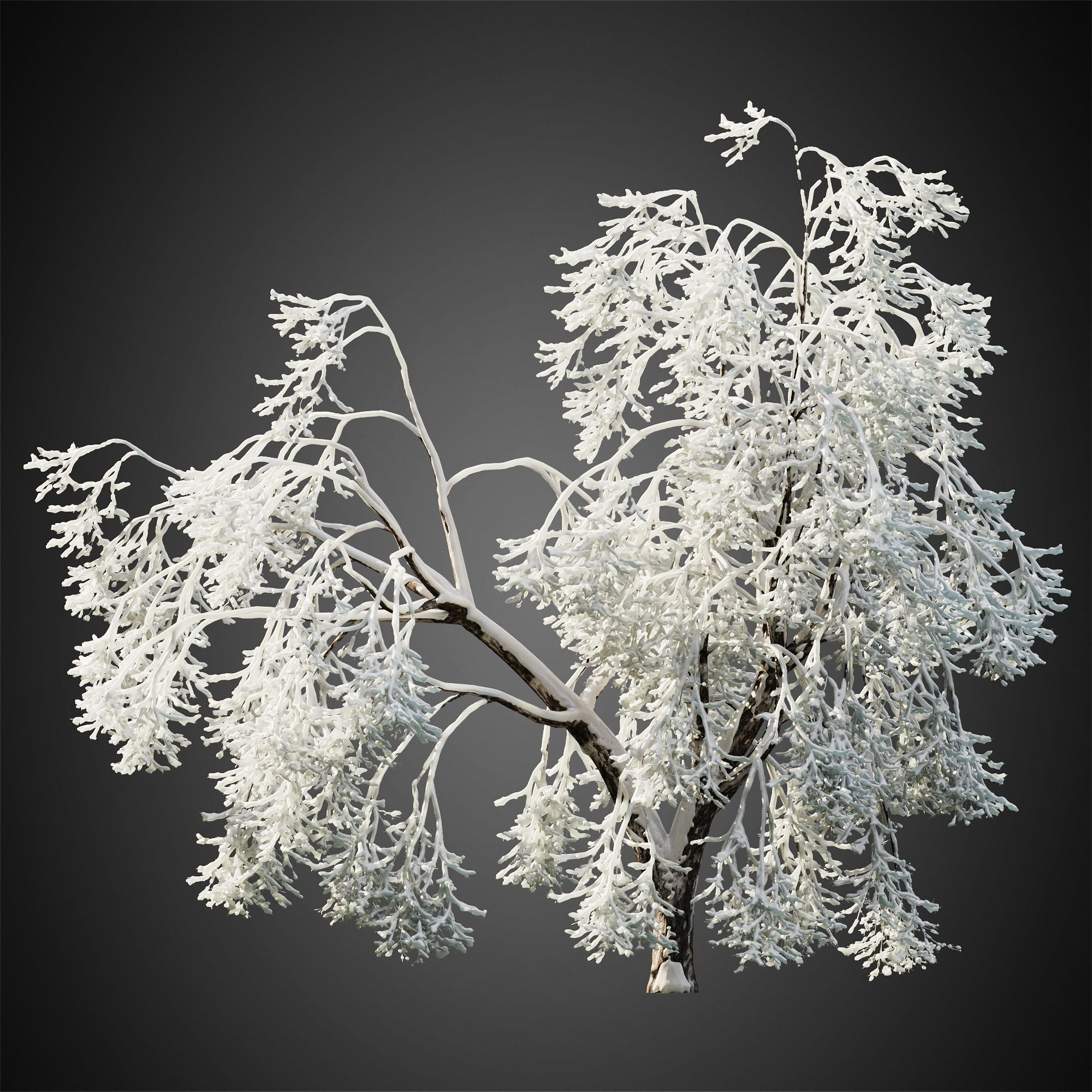 HeliosVegetation vol11 Winter trees  3D model_1